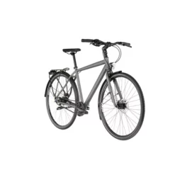 Vélo De Ville RABENEICK TS5 Shimano Nexus 8V DIAMANT Gris 2022 -Vélos Urbains Soldes Boutique Rabeneick TS5 Shimano Nexus 8 fach Freewheel Disc Diamant grau5B600x6005D 1