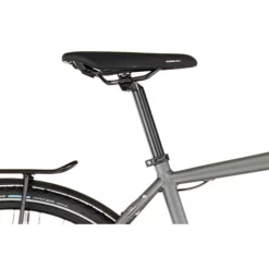 Vélo De Ville RABENEICK TS5 Shimano Nexus 8V DIAMANT Gris 2022 -Vélos Urbains Soldes Boutique Rabeneick TS5 Shimano Nexus 8 fach Freewheel Disc Diamant grau5B600x6005D 15